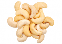 REFERENCE CASHEW NUT PRICE TODAY